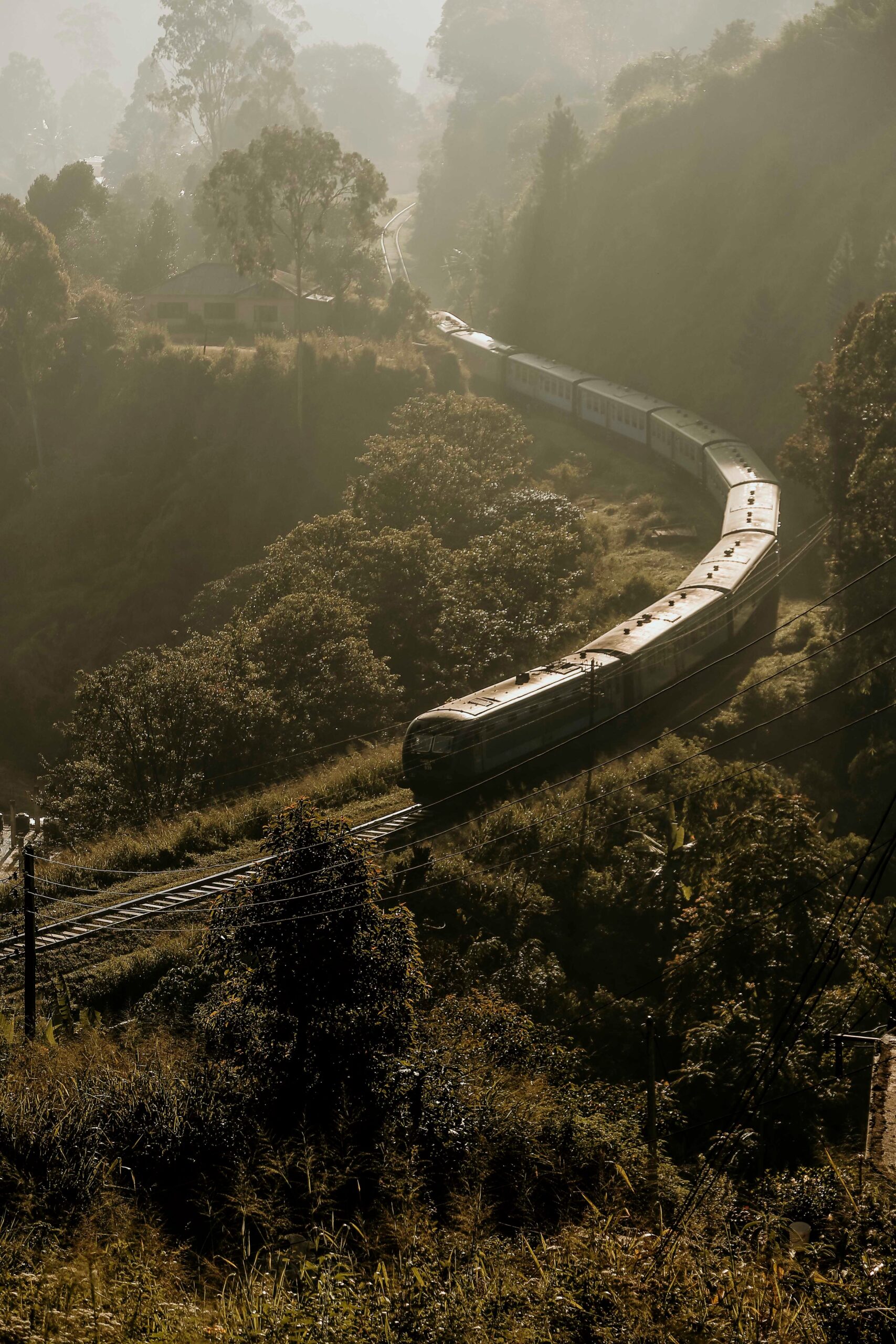 Sri Lanka's beautiful green landscapes