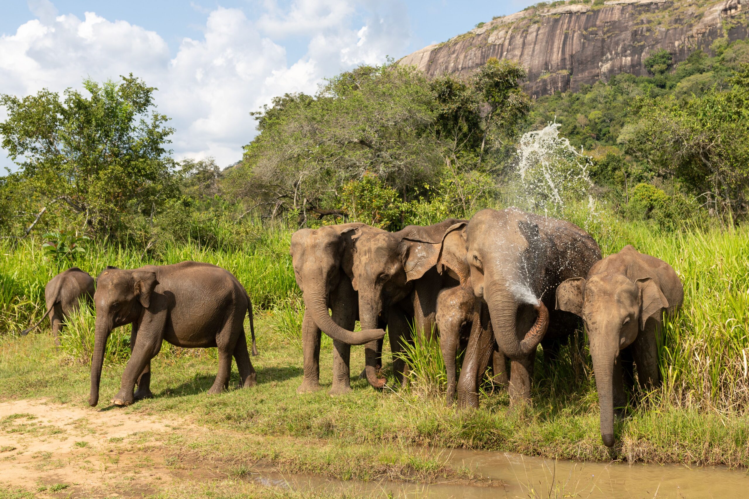 Contact Natural Lanka Tours